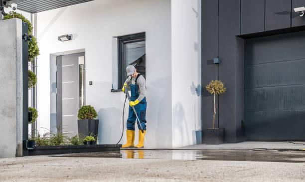 Best Graffiti Removal  in Haines, AK